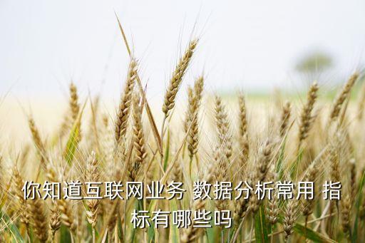 你知道互聯(lián)網(wǎng)業(yè)務(wù) 數(shù)據(jù)分析常用 指標(biāo)有哪些嗎