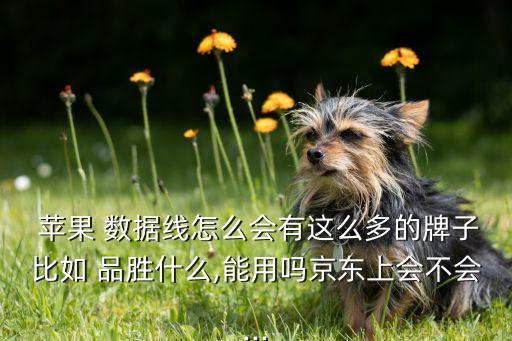  蘋(píng)果 數(shù)據(jù)線(xiàn)怎么會(huì)有這么多的牌子比如 品勝什么,能用嗎京東上會(huì)不會(huì)...