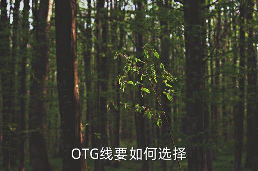 OTG線要如何選擇