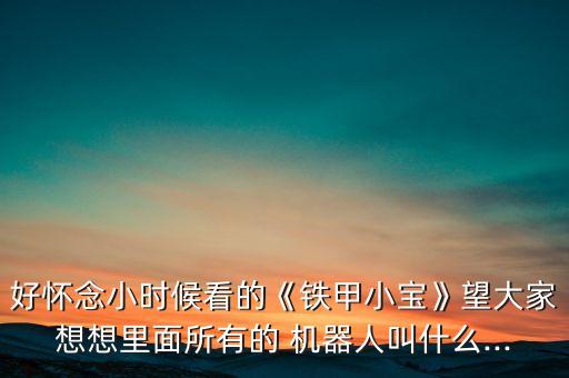 好懷念小時候看的《鐵甲小寶》望大家想想里面所有的 機器人叫什么...