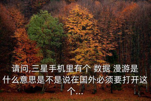 請問,三星手機(jī)里有個(gè) 數(shù)據(jù) 漫游是什么意思是不是說在國外必須要打開這個(gè)...