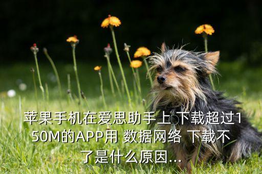 蘋果 app 無法使用數(shù)據(jù)下載,蘋果app與數(shù)據(jù)傳輸怎么設(shè)置
