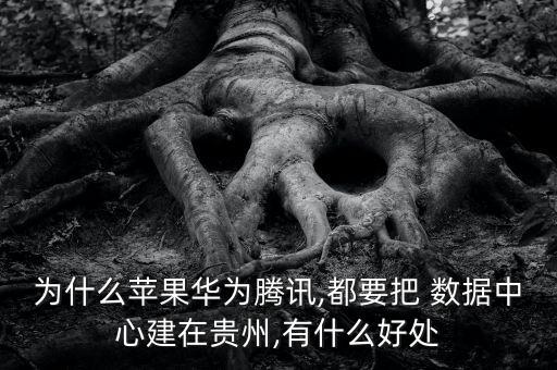 為什么蘋果華為騰訊,都要把 數(shù)據(jù)中心建在貴州,有什么好處