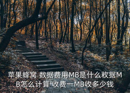 蘋(píng)果蜂窩 數(shù)據(jù)費(fèi)用MB是什么敉據(jù)MB怎么計(jì)算 收費(fèi)一MB收多少錢(qián)