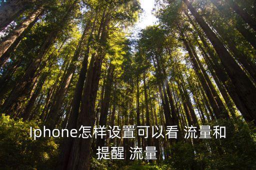 Iphone怎樣設(shè)置可以看 流量和提醒 流量