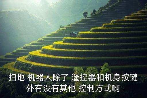 掃地 機(jī)器人除了 遙控器和機(jī)身按鍵外有沒有其他 控制方式啊