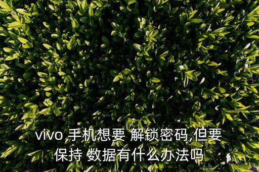 vivo 手機(jī)想要 解鎖密碼,但要保持 數(shù)據(jù)有什么辦法嗎