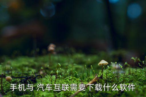 android 汽車數(shù)據(jù),Android顯示API數(shù)據(jù)