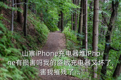  山寨iPhone充電器堆iPhone有損害嗎我的盜版充電器又壞了,害我摧殘了...