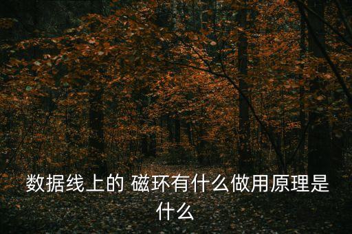  數(shù)據(jù)線上的 磁環(huán)有什么做用原理是什么