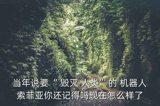 當年說要“ 毀滅 人類”的 機器人索菲亞你還記得嗎現(xiàn)在怎么樣了