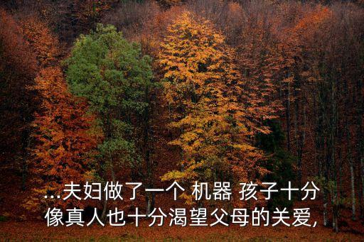 ...夫婦做了一個(gè) 機(jī)器 孩子十分像真人也十分渴望父母的關(guān)愛(ài),
