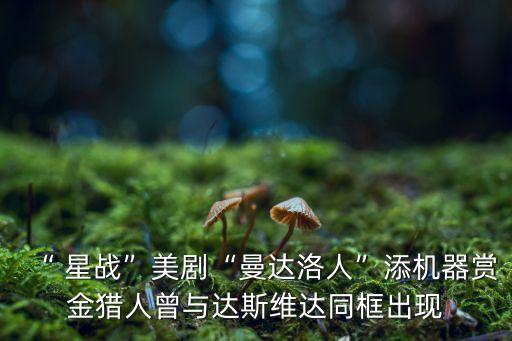 “ 星戰(zhàn)”美劇“曼達(dá)洛人”添機(jī)器賞金獵人曾與達(dá)斯維達(dá)同框出現(xiàn)