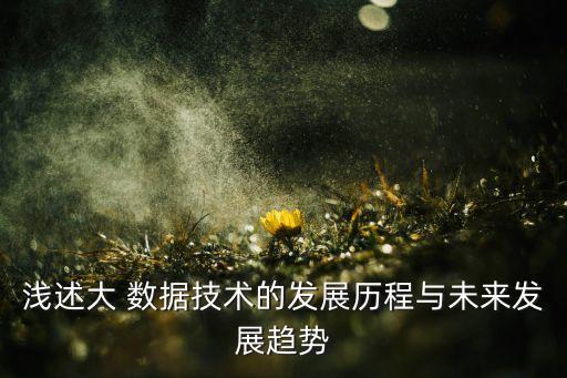淺述大 數(shù)據(jù)技術(shù)的發(fā)展歷程與未來發(fā)展趨勢