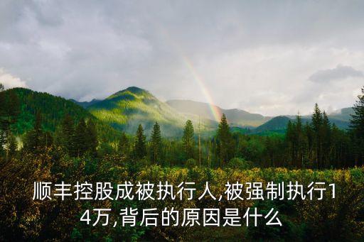  順豐控股成被執(zhí)行人,被強(qiáng)制執(zhí)行14萬,背后的原因是什么