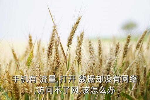 手機有 流量,打開 數(shù)據(jù)卻沒有網(wǎng)絡(luò),訪問不了網(wǎng),該怎么辦