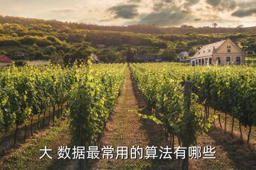 大 數(shù)據(jù)最常用的算法有哪些