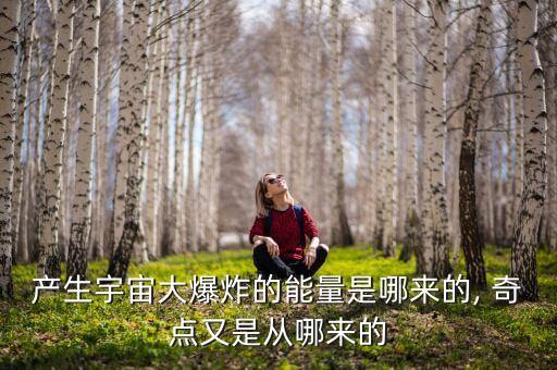 奇點為什么有數(shù)據(jù),奇點計劃為什么失敗了