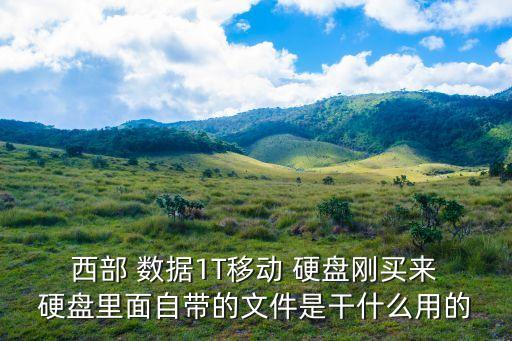  西部 數(shù)據(jù)1T移動(dòng) 硬盤剛買來 硬盤里面自帶的文件是干什么用的