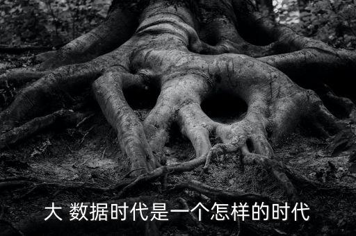 大 數(shù)據(jù)時代是一個怎樣的時代