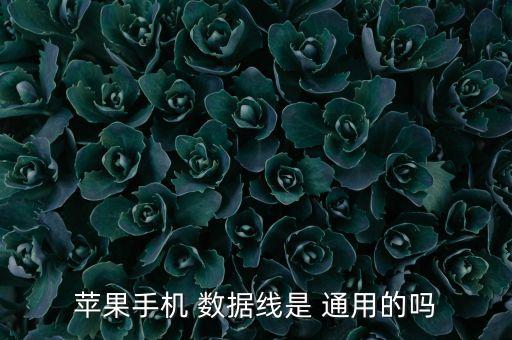 蘋果手機(jī) 數(shù)據(jù)線是 通用的嗎