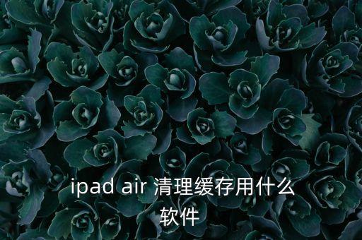  ipad air 清理緩存用什么軟件