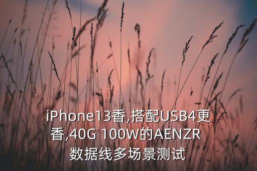 雷電3數(shù)據(jù)線芯片,ultunite雷電4數(shù)據(jù)線怎么樣
