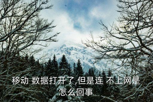 手機(jī)自己連接數(shù)據(jù)連接不上,vivo手機(jī)數(shù)據(jù)連接電腦怎么連接