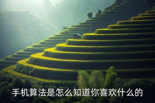 手機算法是怎么知道你喜歡什么的