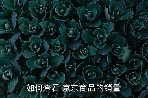 京東用什么看數(shù)據(jù)分析,京東第三方數(shù)據(jù)分析軟件