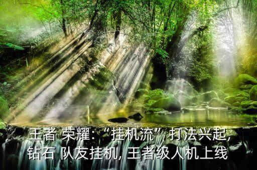  王者 榮耀:“掛機(jī)流”打法興起,鉆石 隊友掛機(jī), 王者級人機(jī)上線