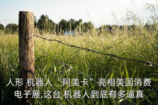 這款機器人