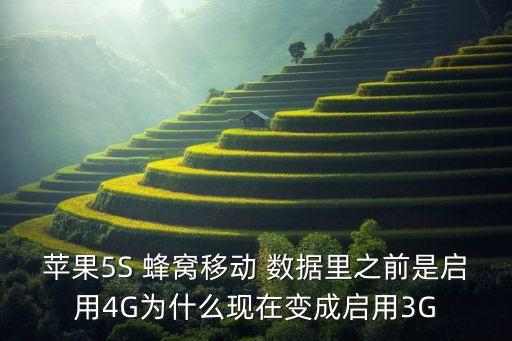 蘋果5S 蜂窩移動 數(shù)據(jù)里之前是啟用4G為什么現(xiàn)在變成啟用3G