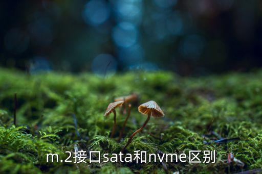 m.2接口sata和nvme區(qū)別