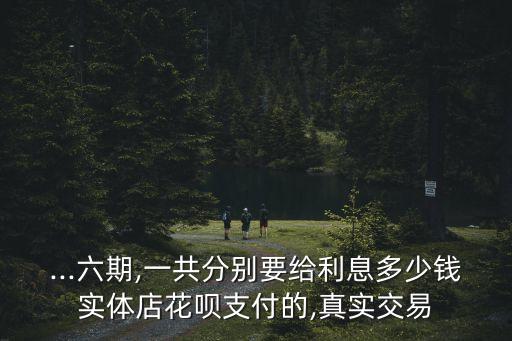 ...六期,一共分別要給利息多少錢實(shí)體店花唄支付的,真實(shí)交易