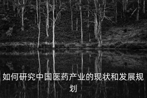 如何研究中國(guó)醫(yī)藥產(chǎn)業(yè)的現(xiàn)狀和發(fā)展規(guī)劃