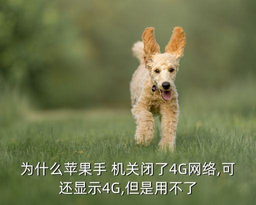 為什么蘋(píng)果手 機(jī)關(guān)閉了4G網(wǎng)絡(luò),可還顯示4G,但是用不了