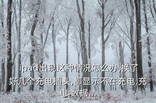 ipad數(shù)據(jù)線不匹配,插頭和數(shù)據(jù)線不匹配會(huì)怎樣