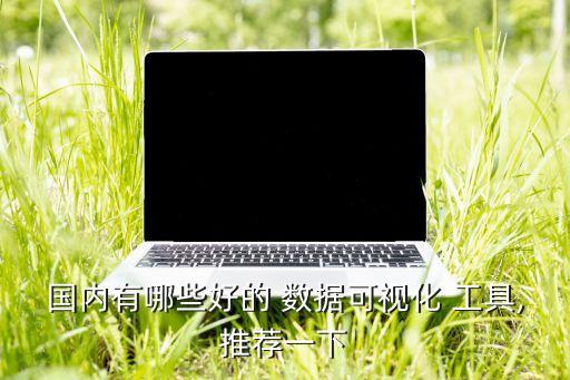 國(guó)內(nèi)有哪些好的 數(shù)據(jù)可視化 工具,推薦一下