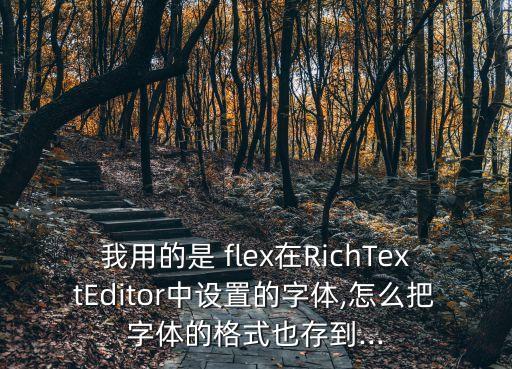 我用的是 flex在RichTextEditor中設置的字體,怎么把字體的格式也存到...