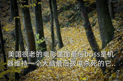 美國(guó)很老的電影里面最后boss是機(jī)器維持一個(gè)大腦最后拔電殺死的它...