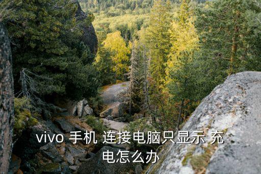 vivo 手機(jī) 連接電腦只顯示 充電怎么辦