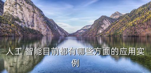 人工 智能目前都有哪些方面的應(yīng)用實例