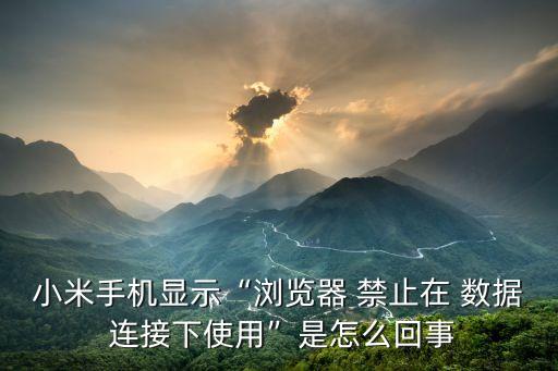 小米手機(jī)顯示“瀏覽器 禁止在 數(shù)據(jù) 連接下使用”是怎么回事