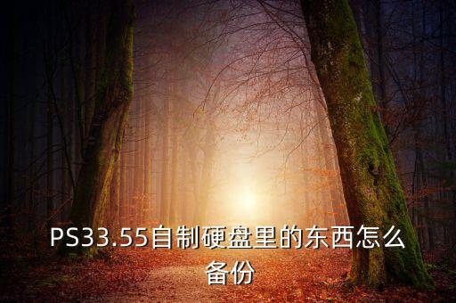 PS33.55自制硬盤里的東西怎么 備份