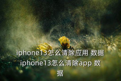 iphone13怎么清除應(yīng)用 數(shù)據(jù)iphone13怎么清除app 數(shù)據(jù)