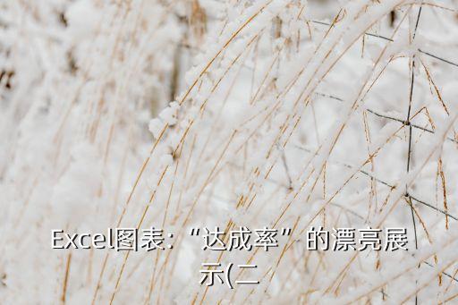 Excel圖表:“達(dá)成率”的漂亮展示(二