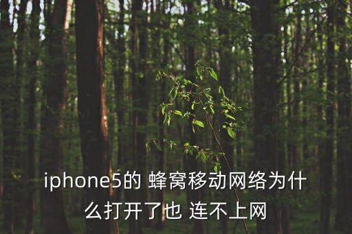 蘋果5蜂窩數(shù)據(jù)連不上,蘋果手表換了手機蜂窩數(shù)據(jù)連不上