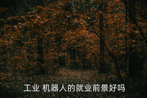  工業(yè) 機(jī)器人的就業(yè)前景好嗎