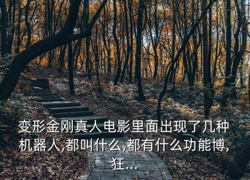變形數(shù)字變大機(jī)器人,數(shù)字變形玩具0到9圖解